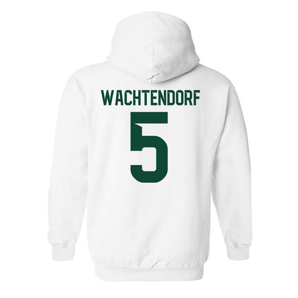Baylor - NCAA Softball : Ashlyn Wachtendorf - Hooded Sweatshirt Classic Shersey