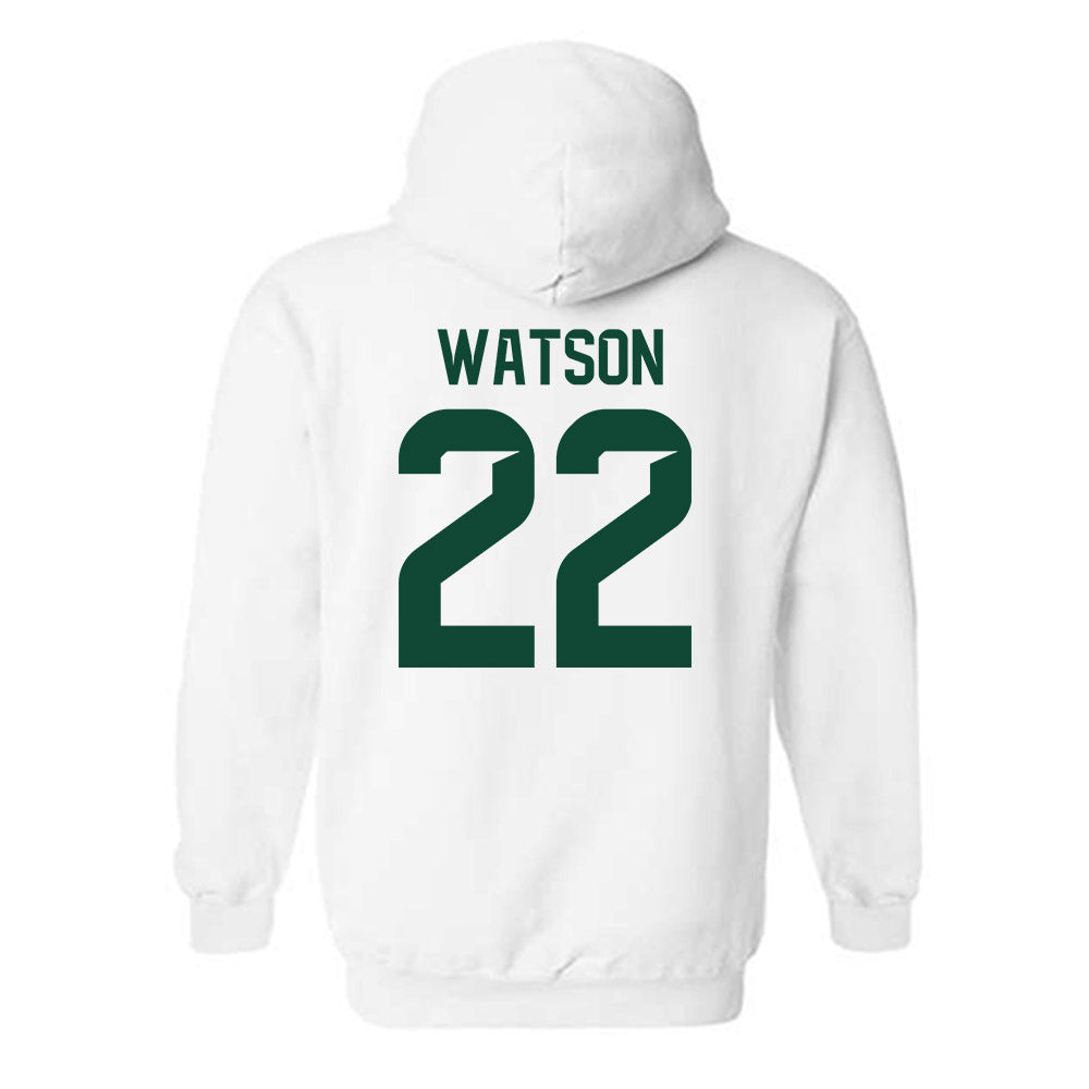 Baylor - NCAA Softball : Ana Watson - Hooded Sweatshirt Classic Shersey