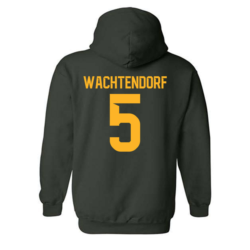 Baylor - NCAA Softball : Ashlyn Wachtendorf - Hooded Sweatshirt Classic Shersey