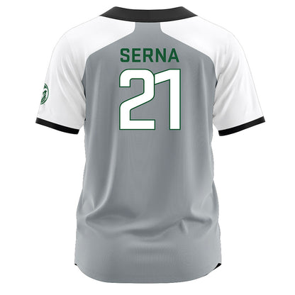 Colorado State - NCAA Softball : Danielle Serna - Softball Jersey Grey
