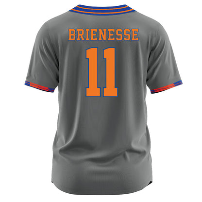 Texas Arlington - NCAA Softball : Paris Brienesse - Softball Jersey Grey