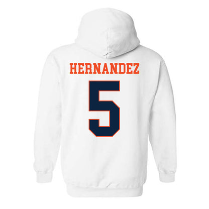 Auburn - NCAA Baseball : Javon Hernandez - Hooded Sweatshirt Generic Shersey