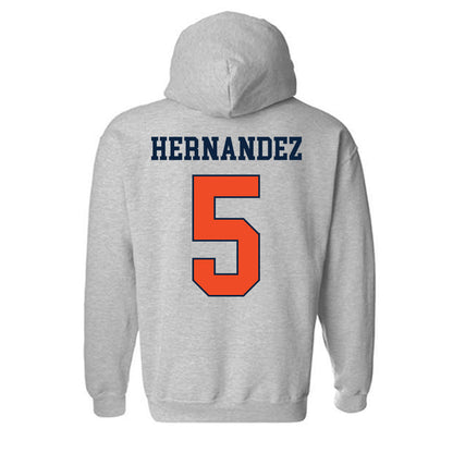 Auburn - NCAA Baseball : Javon Hernandez - Hooded Sweatshirt Generic Shersey