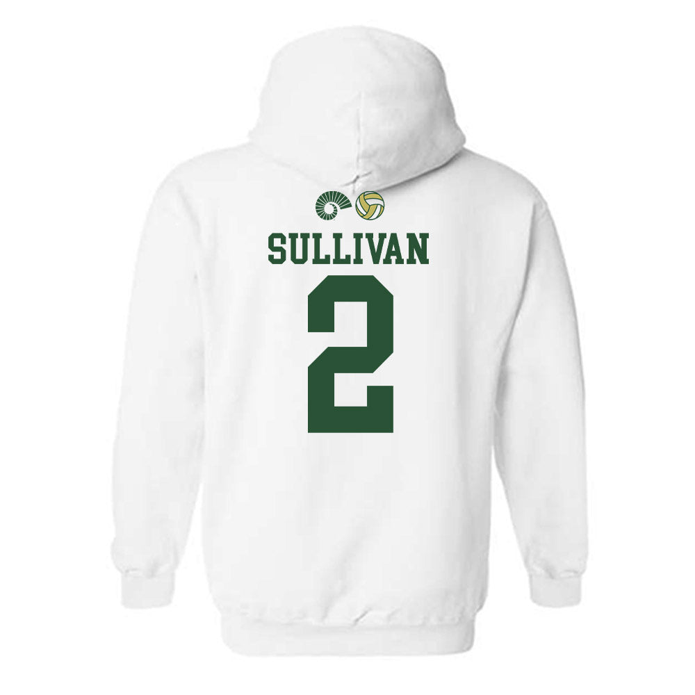 Colorado State - NCAA Women's Volleyball : Annie Sullivan Spike Hooded Sweatshirt