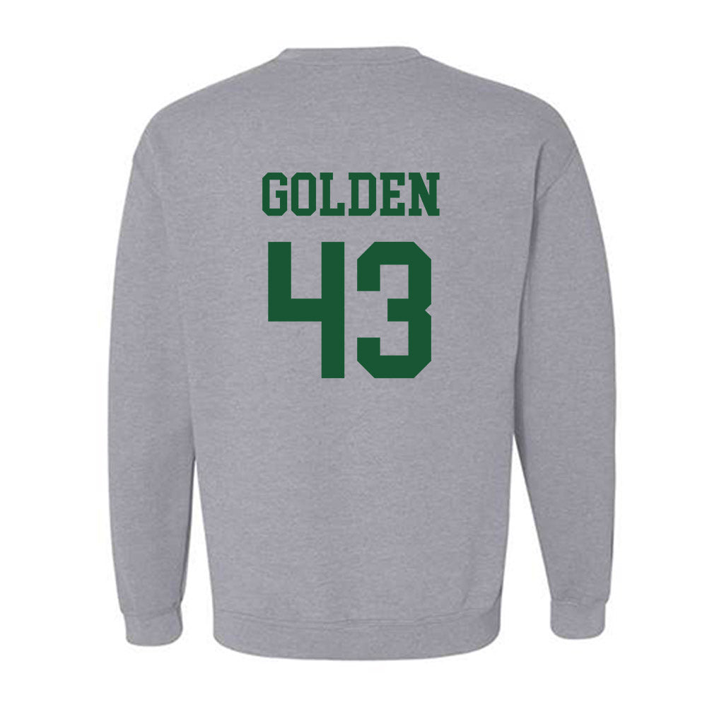 Colorado State - NCAA Football : Troy Golden Sweatshirt