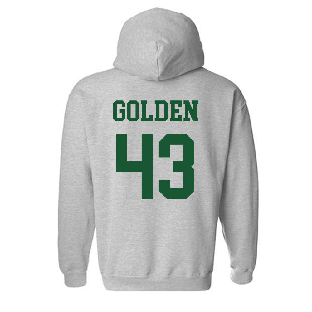 Colorado State - NCAA Football : Troy Golden Hooded Sweatshirt
