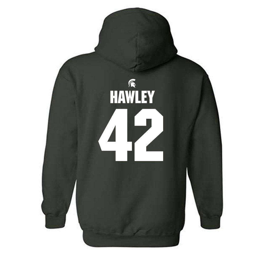 Michigan State - NCAA Softball : Hannah Hawley - Hooded Sweatshirt Classic Shersey