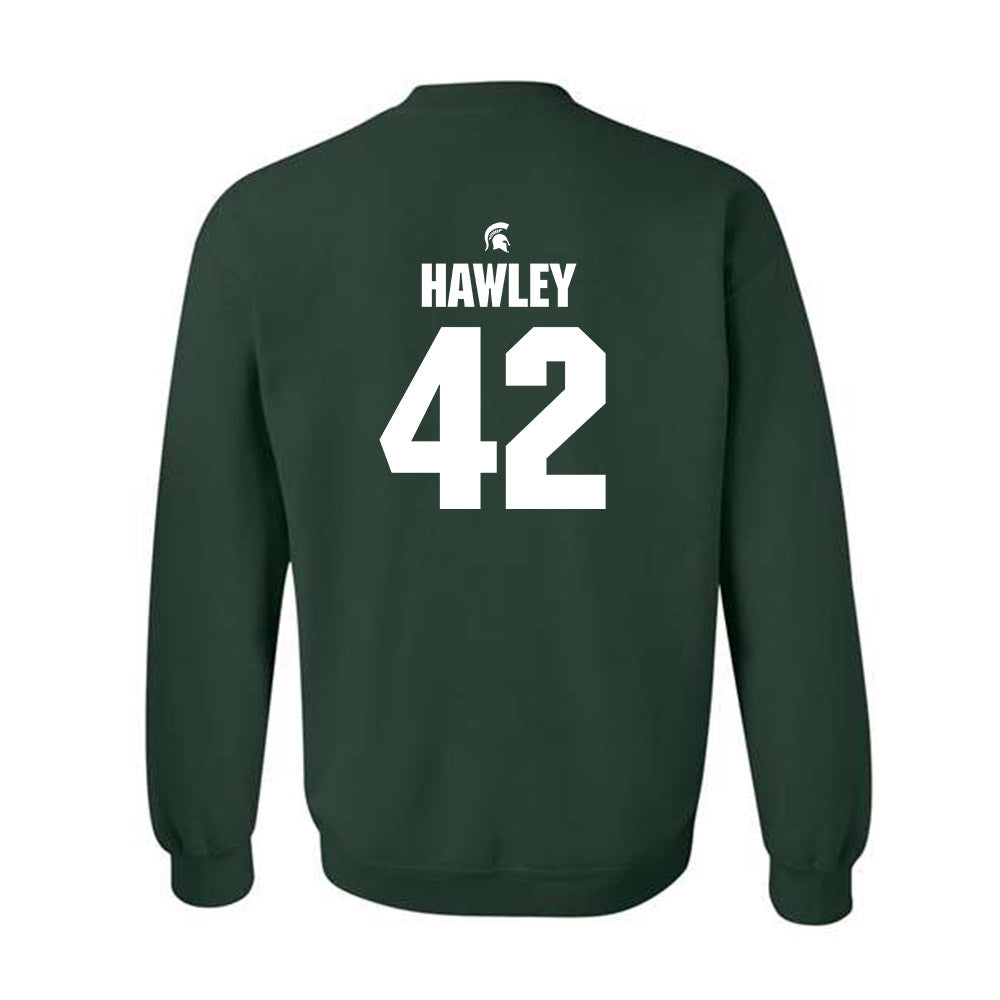 Michigan State - NCAA Softball : Hannah Hawley - Crewneck Sweatshirt Classic Shersey