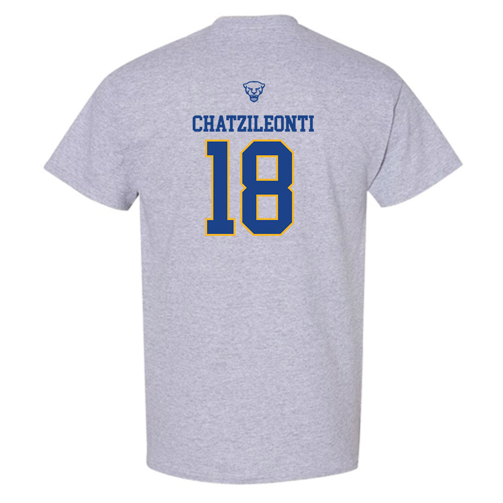 Pittsburgh - NCAA Women's Basketball : Ionanna Chatzileonti - T-Shirt Classic Shersey