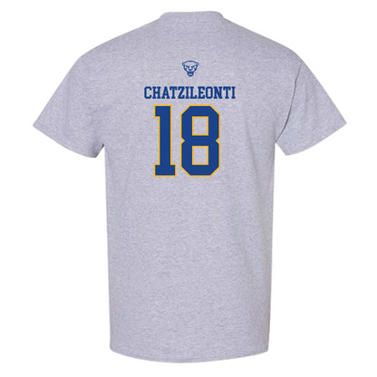 Pittsburgh - NCAA Women's Basketball : Ionanna Chatzileonti - T-Shirt Classic Shersey