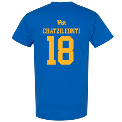 Pittsburgh - NCAA Women's Basketball : Ionanna Chatzileonti - T-Shirt Sports Shersey