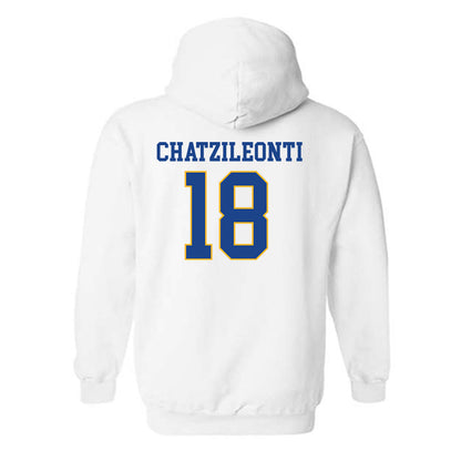 Pittsburgh - NCAA Women's Basketball : Ionanna Chatzileonti - Hooded Sweatshirt Classic Shersey