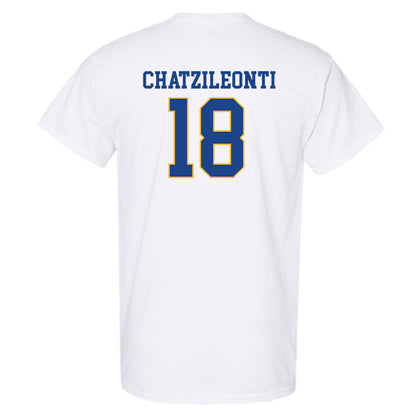 Pittsburgh - NCAA Women's Basketball : Ionanna Chatzileonti - T-Shirt Classic Shersey