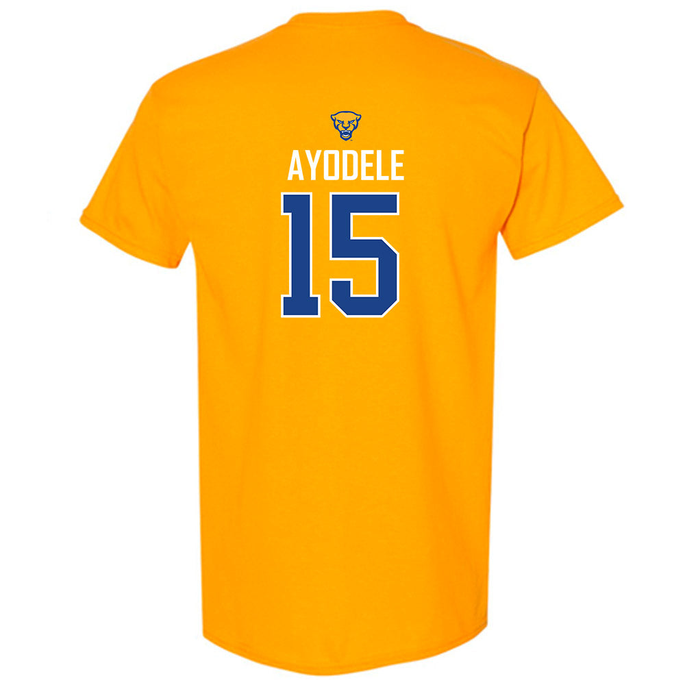 Pittsburgh - NCAA Women's Basketball : Rapuluchi Ayodele - T-Shirt Sports Shersey