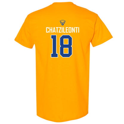 Pittsburgh - NCAA Women's Basketball : Ionanna Chatzileonti - T-Shirt Sports Shersey