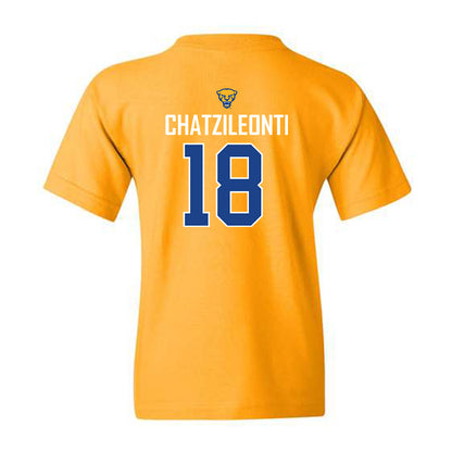 Pittsburgh - NCAA Women's Basketball : Ionanna Chatzileonti - Youth T-Shirt Sports Shersey