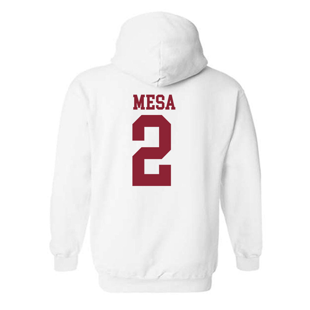 Troy - NCAA Women's Volleyball : Jaci Mesa Hooded Sweatshirt