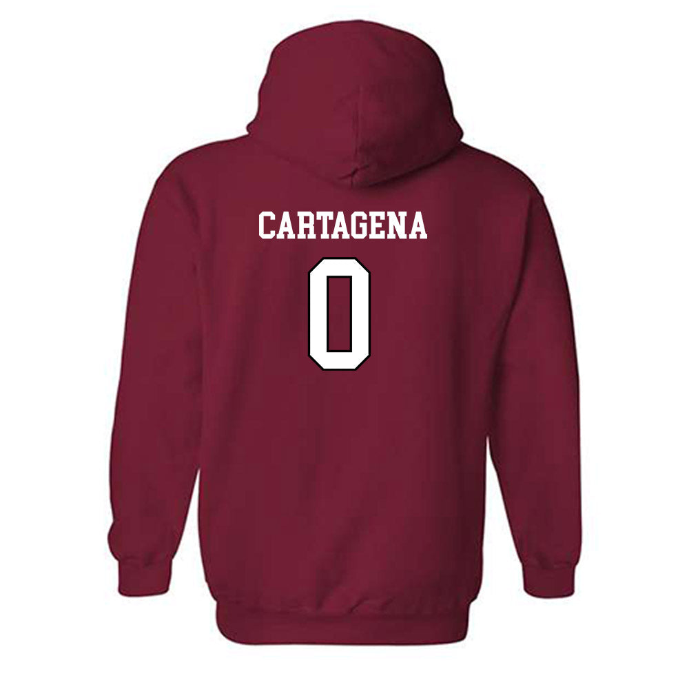 Troy - NCAA Women's Basketball : Gabbi Cartagena - Hooded Sweatshirt Sports Shersey