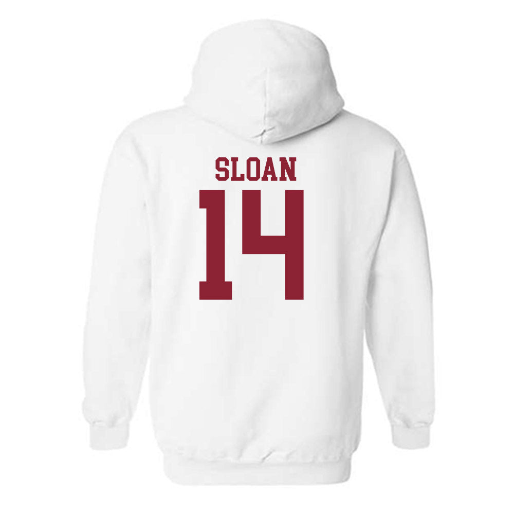 Troy - NCAA Baseball : Jayden Sloan - Hooded Sweatshirt Sports Shersey