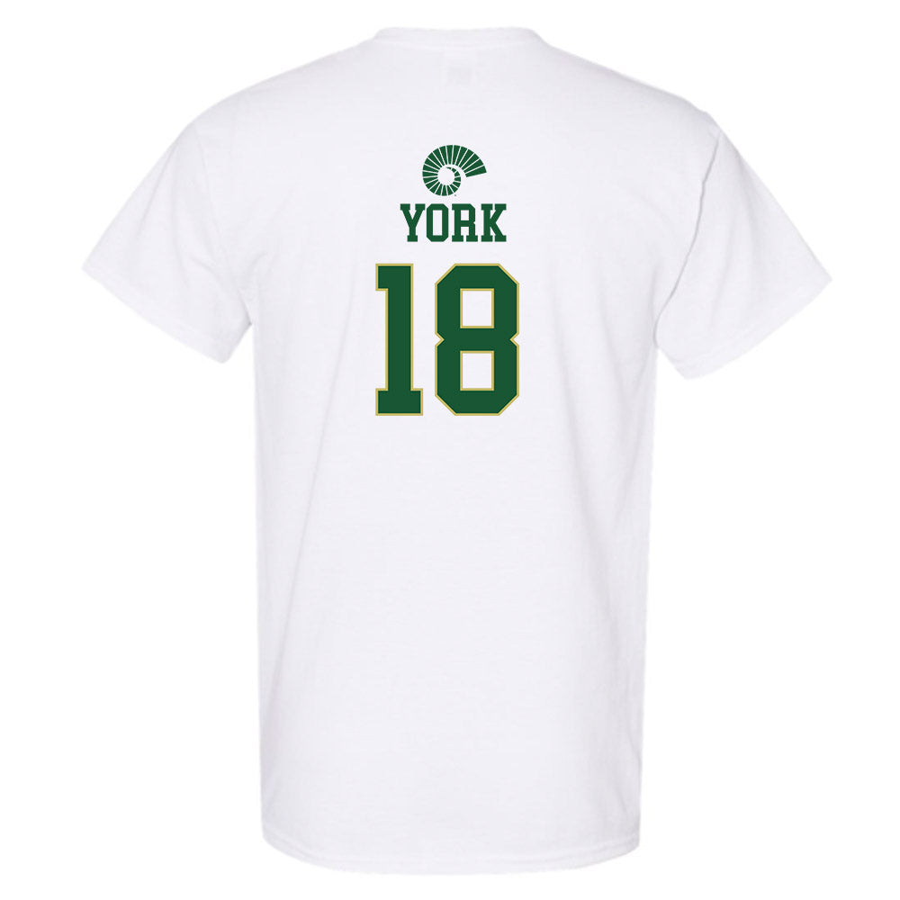 Colorado State - NCAA Softball : Ashley York - T-Shirt Classic Shersey