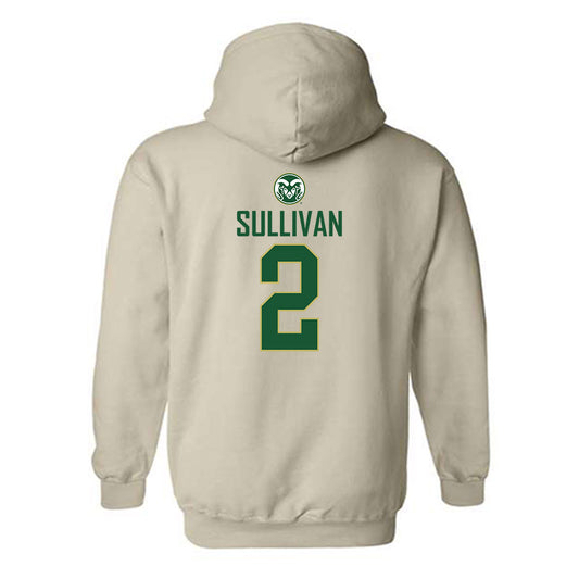 Colorado State - NCAA Women's Volleyball : Annie Sullivan Hooded Sweatshirt