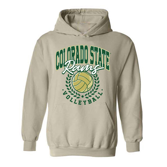 Colorado State - NCAA Women's Volleyball : Taylor Pagan - Hooded Sweatshirt