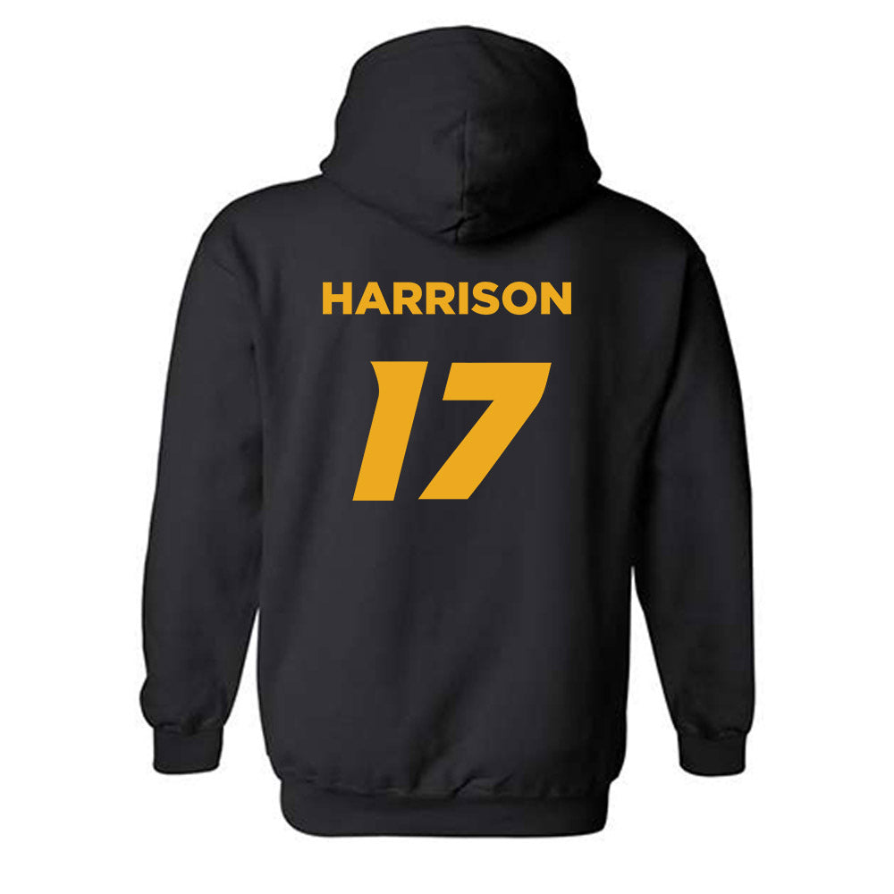 Missouri - NCAA Softball : Cierra Harrison - Hooded Sweatshirt Sports Shersey