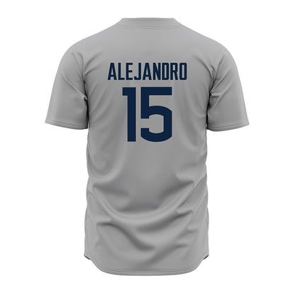 UConn - NCAA Baseball : Hector Alejandro - Baseball Jersey Gray