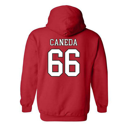 Nebraska - NCAA Softball : Katelyn Caneda - Hooded Sweatshirt Sports Shersey