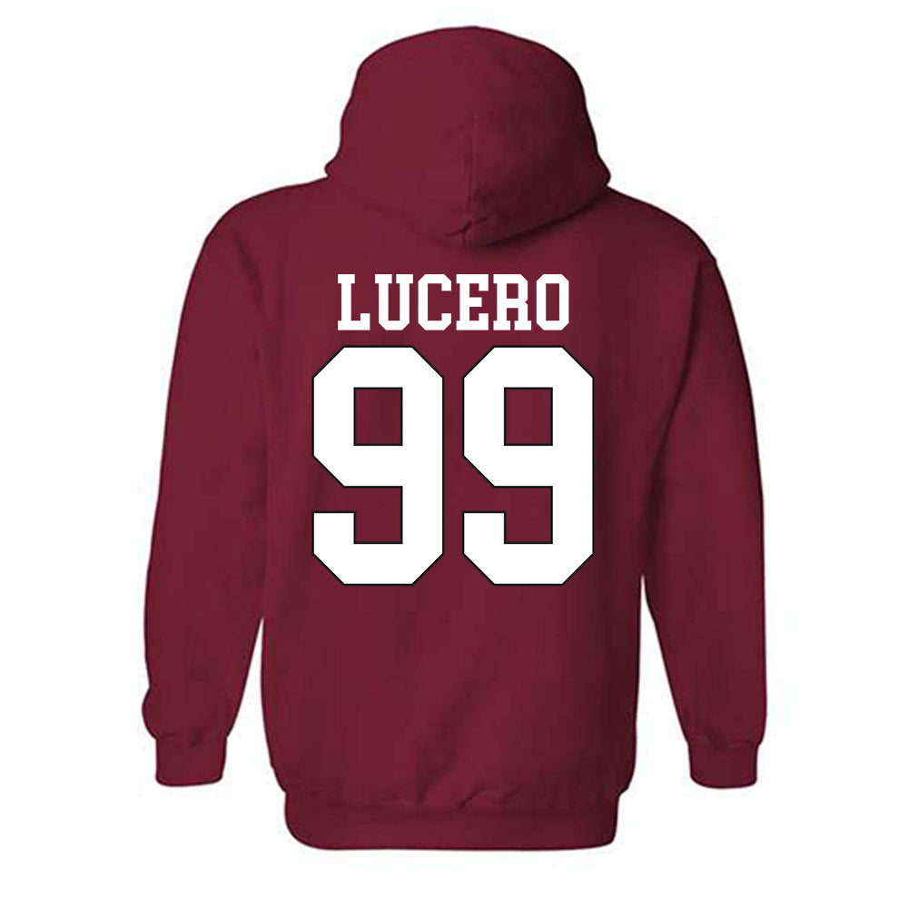 NC State - NCAA Softball : Brooklyn Lucero - Hooded Sweatshirt Sports Shersey