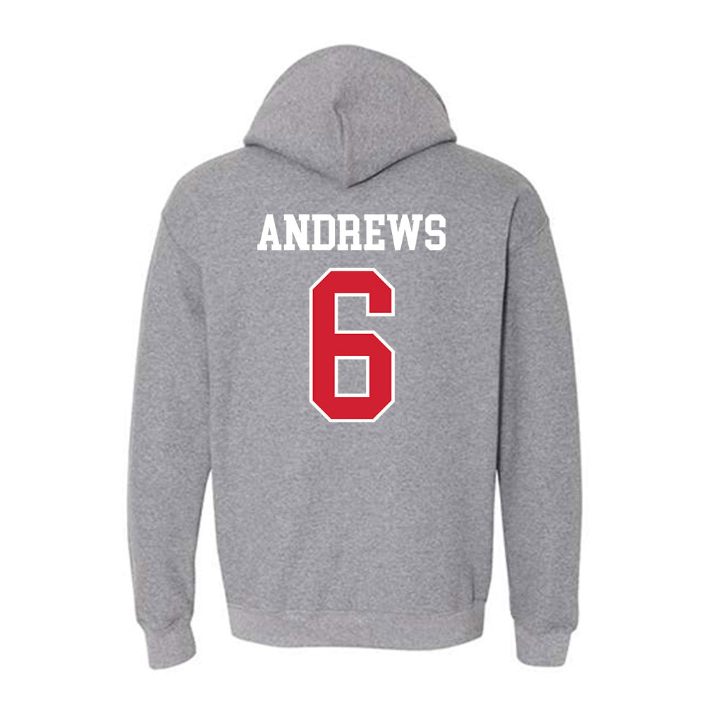 Nebraska - NCAA Softball : Billie Andrews - Hooded Sweatshirt Sports Shersey