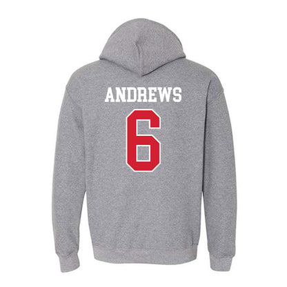 Nebraska - NCAA Softball : Billie Andrews - Hooded Sweatshirt Sports Shersey