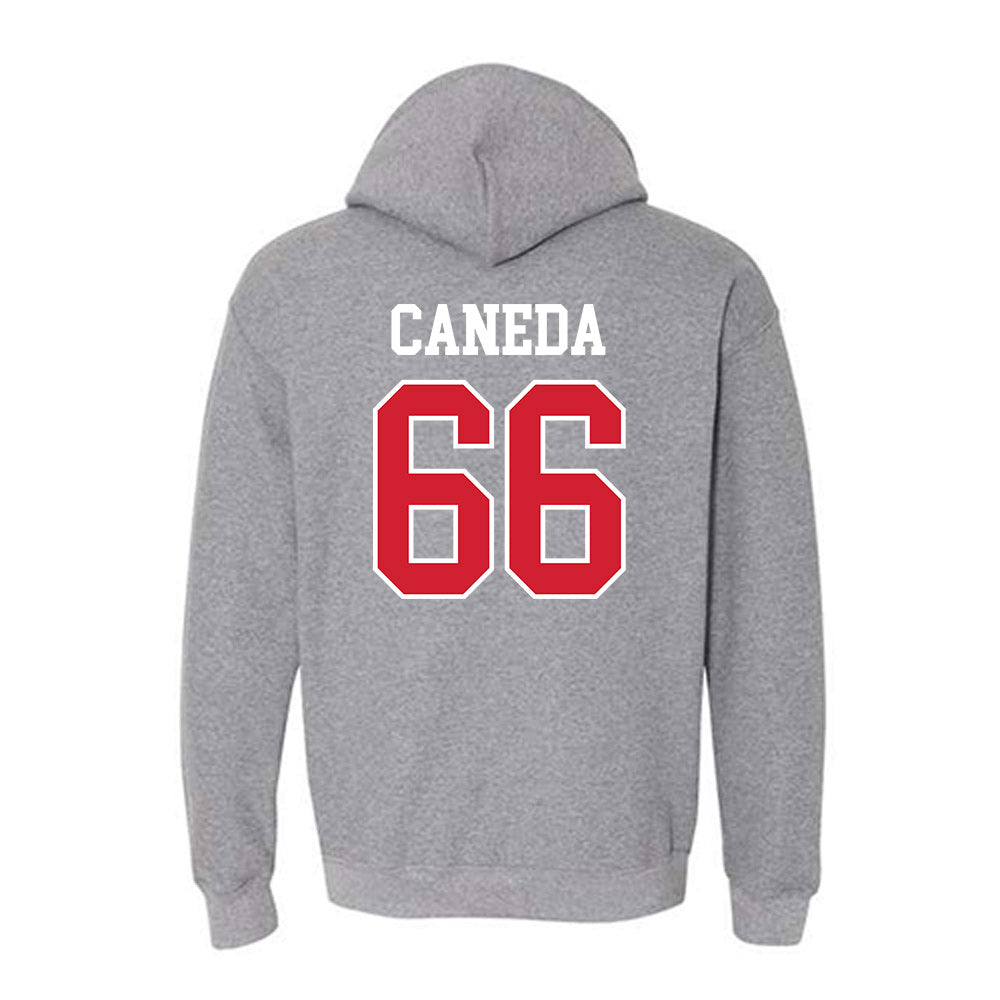 Nebraska - NCAA Softball : Katelyn Caneda - Hooded Sweatshirt Sports Shersey