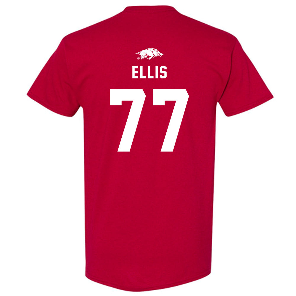 Arkansas - NCAA Softball : Bri Ellis - T-Shirt Replica Shersey