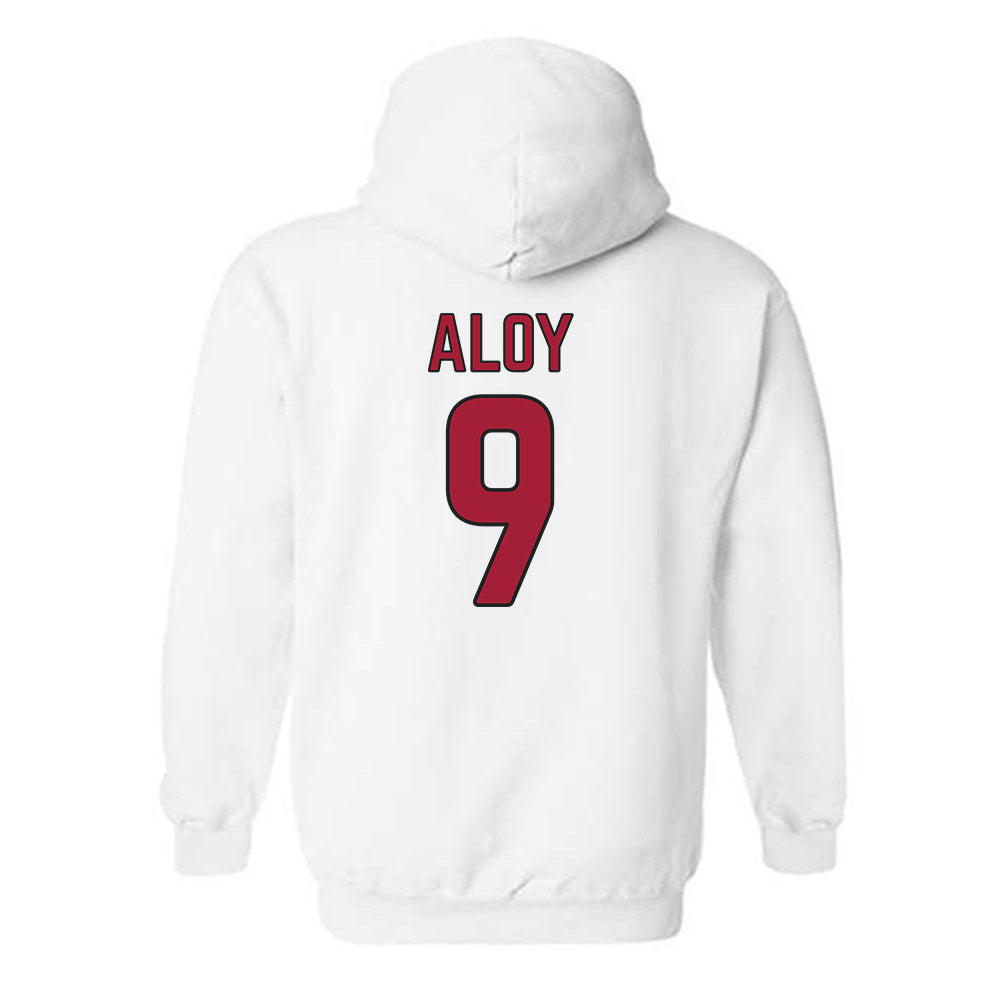 Arkansas - NCAA Baseball : Wehiwa Aloy - Hooded Sweatshirt Sports Shersey