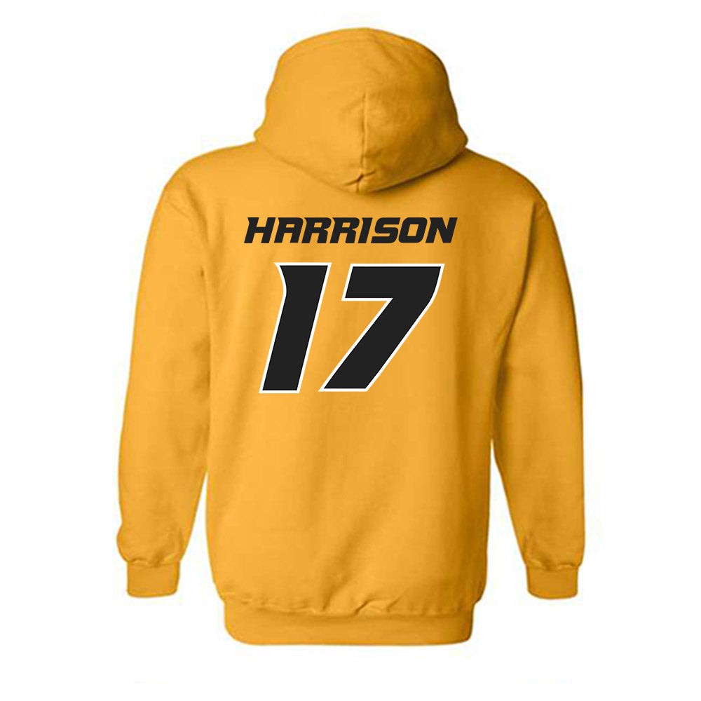 Missouri - NCAA Softball : Cierra Harrison - Hooded Sweatshirt Replica Shersey