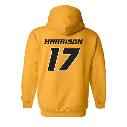 Missouri - NCAA Softball : Cierra Harrison - Hooded Sweatshirt Replica Shersey