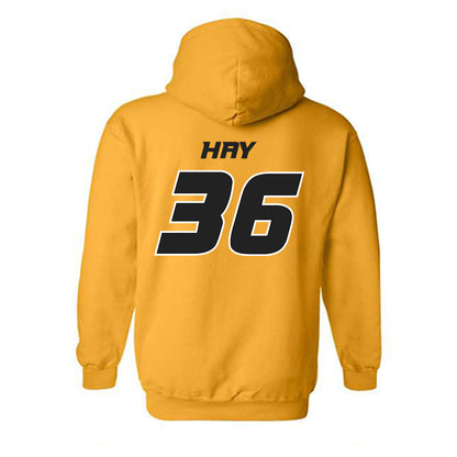 Missouri - NCAA Softball : Abby Hay - Hooded Sweatshirt Replica Shersey