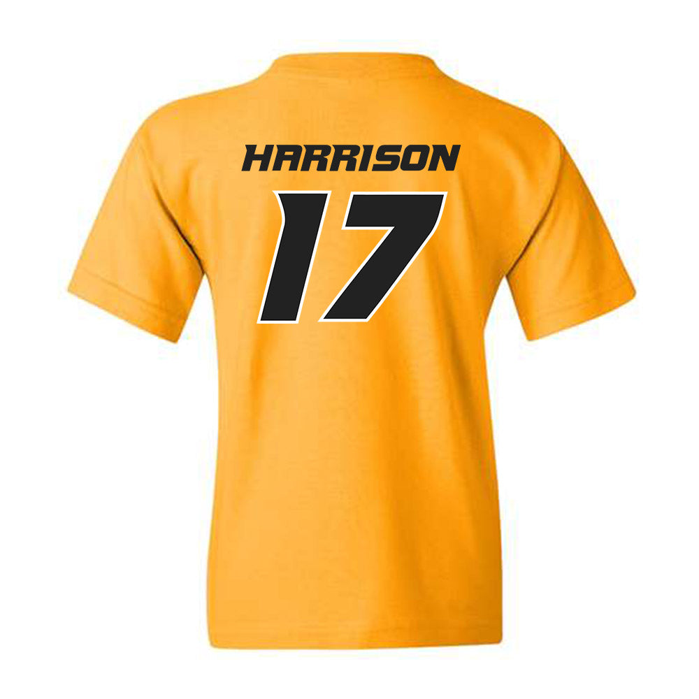 Missouri - NCAA Softball : Cierra Harrison - Youth T-Shirt Replica Shersey