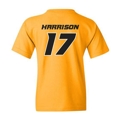 Missouri - NCAA Softball : Cierra Harrison - Youth T-Shirt Replica Shersey